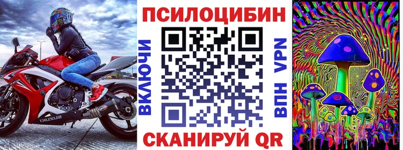 купить  сайты  Кингисепп  Галлюциногенные грибы мухоморы 