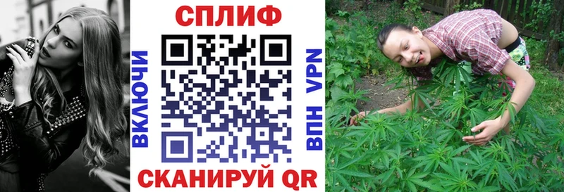 Канабис конопля  mega как войти  Кингисепп 